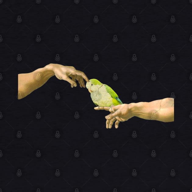 Michelangelo's green quaker parrot by FandomizedRose